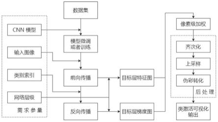 一种基于像素梯度加权的卷积神经网络特征可视化方法及系统与流程