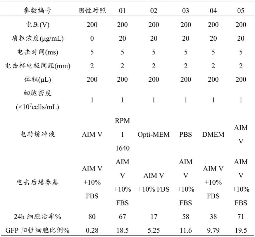 一种电转染永生化树突状细胞的方法与流程