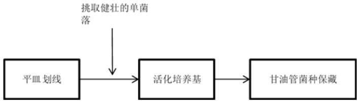 一种黄酒酵母高密度发酵工艺的制作方法