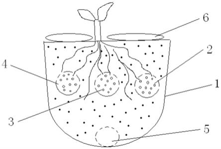 植物生长所需营养条件多种多样,植物根系需求的条件分为水,空气,温度