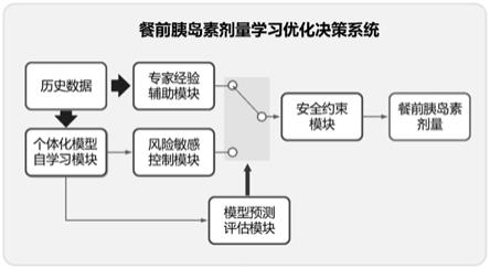 一种专家经验辅助的餐前胰岛素剂量学习优化决策系统