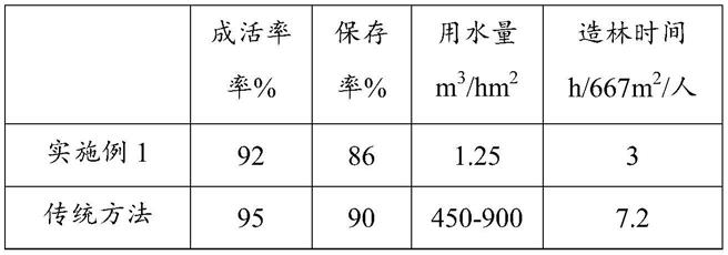 一种节水灌溉造林方法及其应用与流程