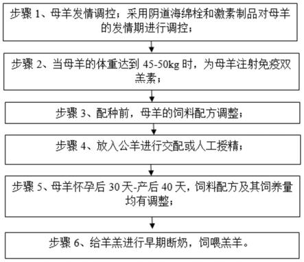 一种提高绵羊繁殖性能的方法