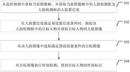 一种性别检测方法、装置、电子设备及存储介质与流程