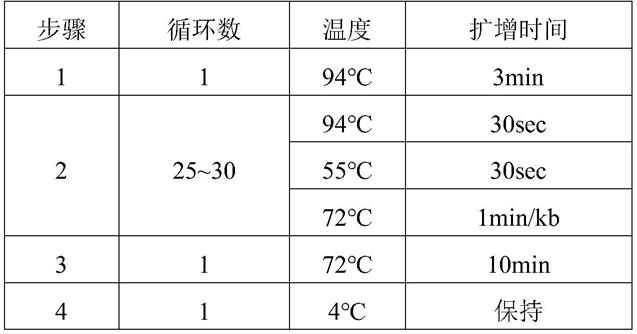 一种差向异构酶的突变体，其编码基因、氨基酸序列及其应用的制作方法