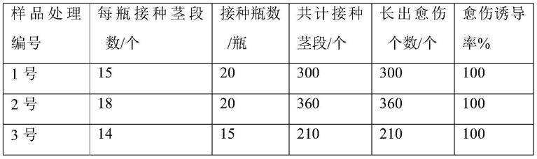 利用搭桥技术防止植物愈伤褐化和胶状物形成的有效方法