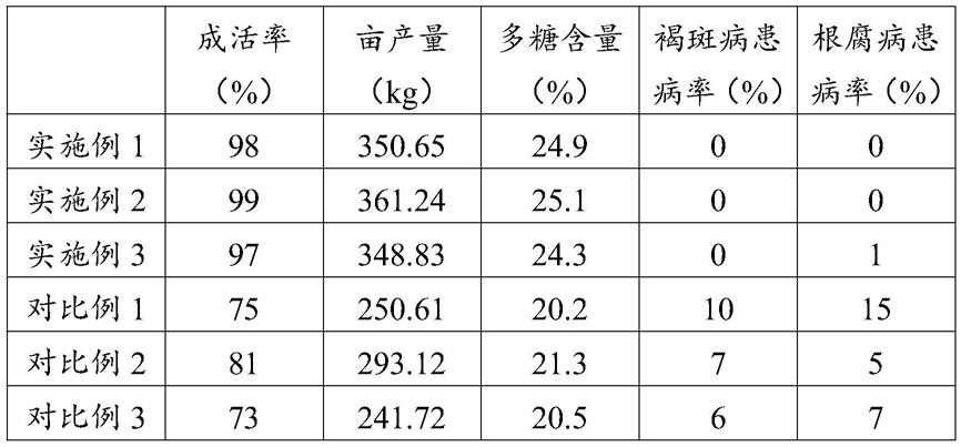 一种铁皮石斛规模化种植方法与流程