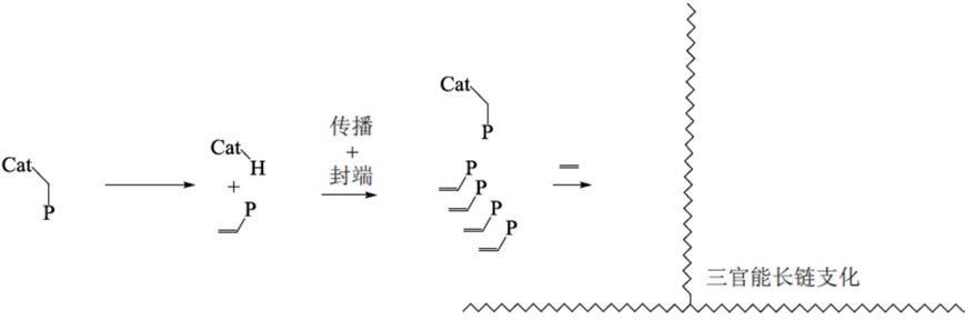 四官能长链支化的乙烯类聚合物的制作方法