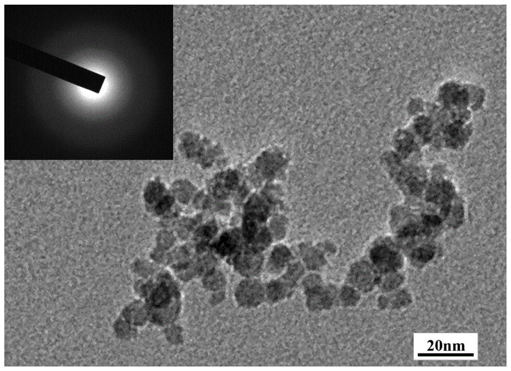 碳化硅纳米颗粒及其制备方法和应用与流程