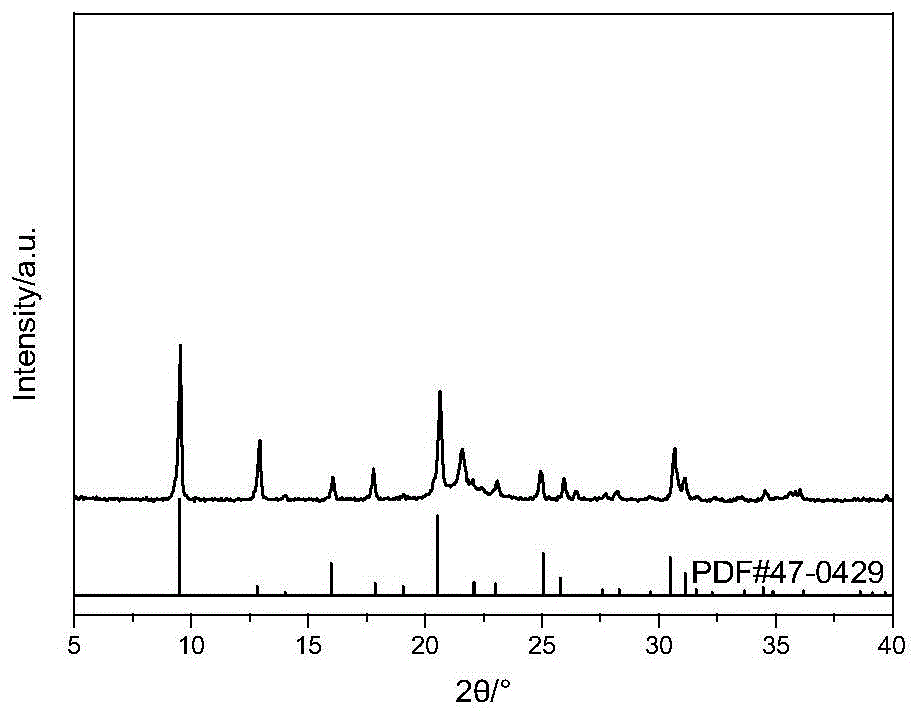 一种仿生孔道结构SAPO-34分子筛的制备方法