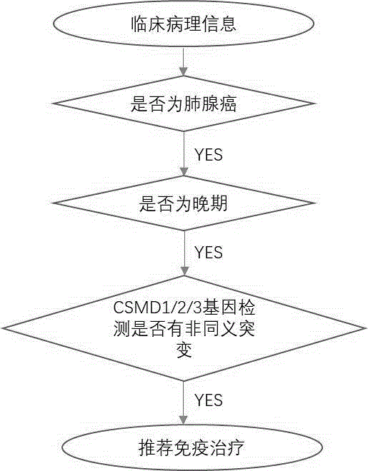 CSMD家族基因预测晚期肺腺癌免疫治疗疗效的制作方法