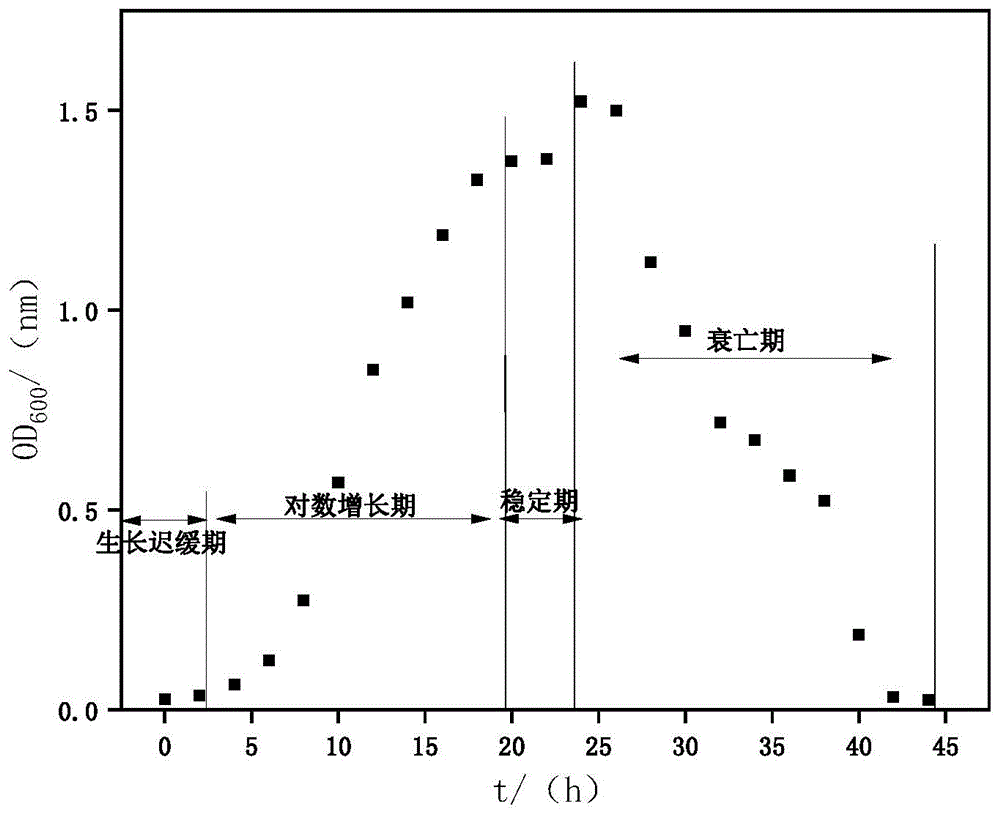 一株溶藻/脱氮/除磷三效工程菌及其在处理含铜绿微囊藻污染水中的应用