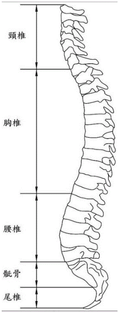 一种自适应感知汽车座椅的制作方法