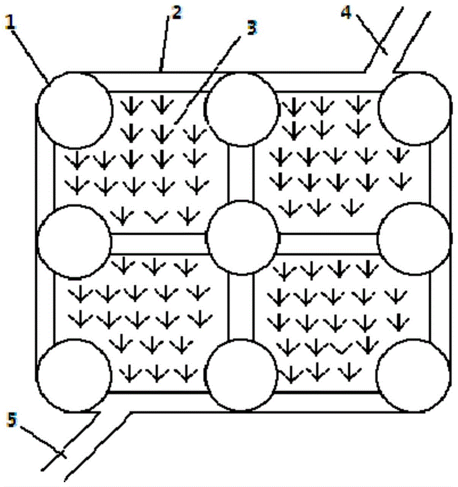 一种稻虾共作生态养殖方法与流程