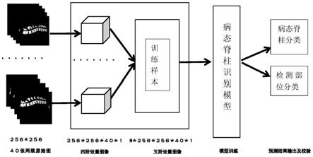 一种基于多维残差网络的脊柱CT图像识别方法