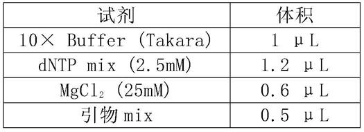 一种基于多重PCR的基因组DNA完整性检测的方法与流程