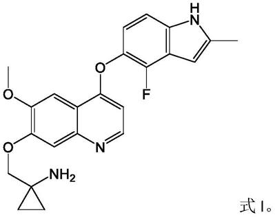 喹啉衍生物与PD-1单抗的药物组合的制作方法