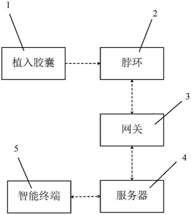 一种注入式测温计步系统的制作方法