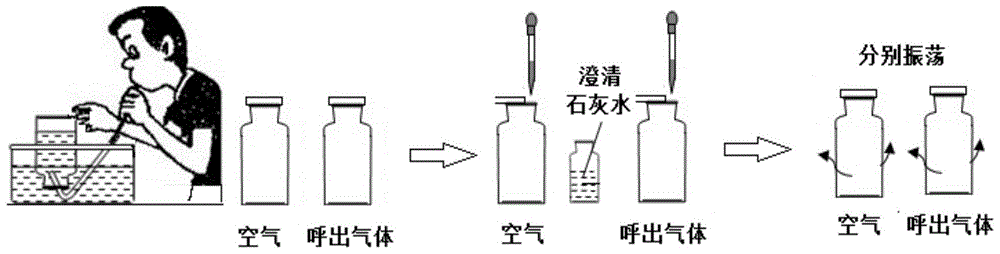 人体呼吸产生二氧化碳演示器的制作方法