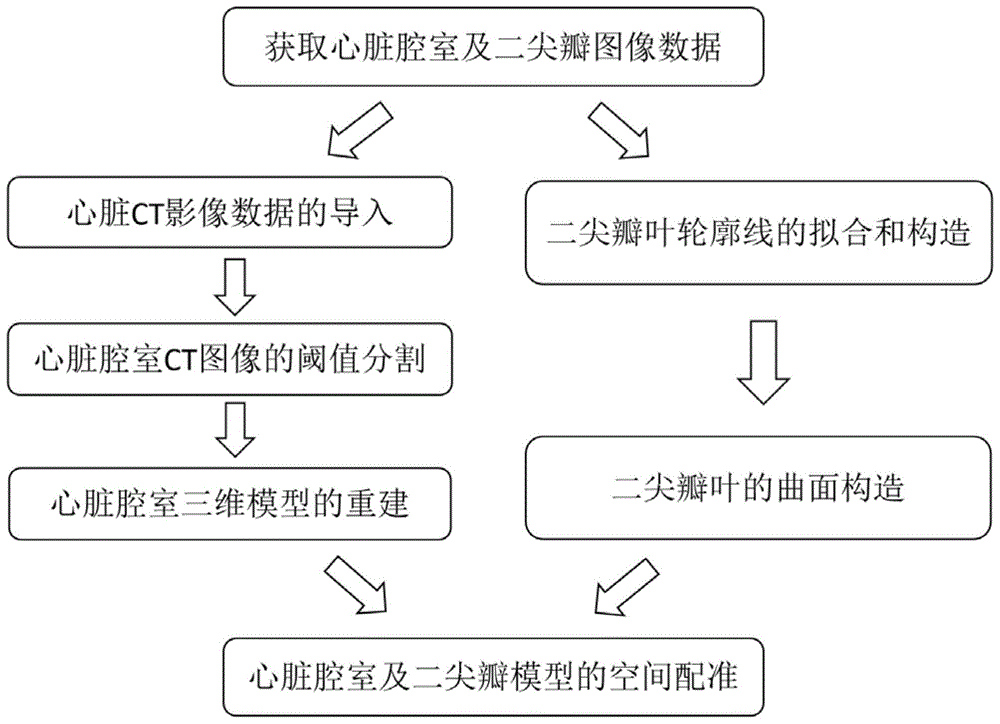 超声和CT图像融合的心脏影像建模方法、系统及设备