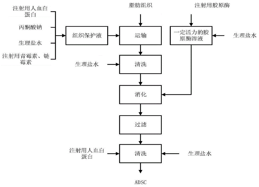 一种脂肪组织保护液及其应用的制作方法