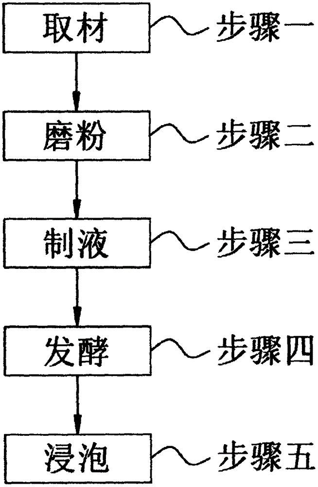 一种提高免疫力的养生酒及其制备方法与流程