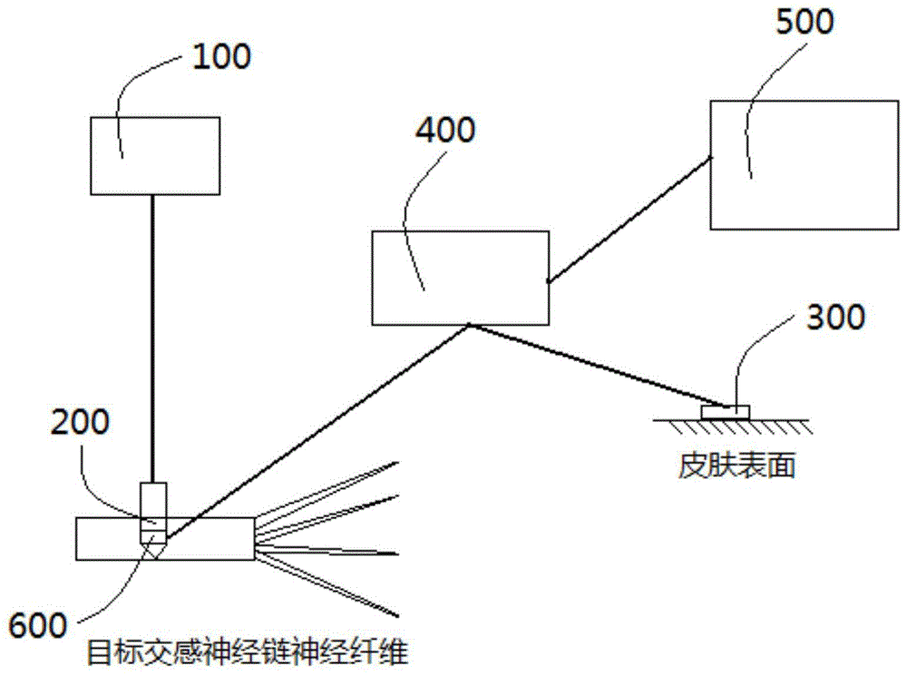 一种交感神经链神经纤维定位标测装置