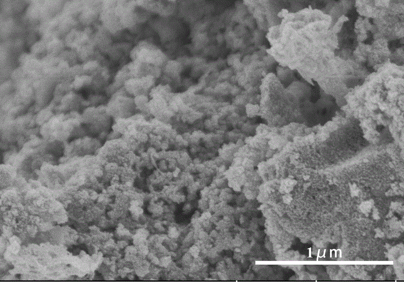 一种炭负载二氧化钛复合催化剂及其制备方法和应用
