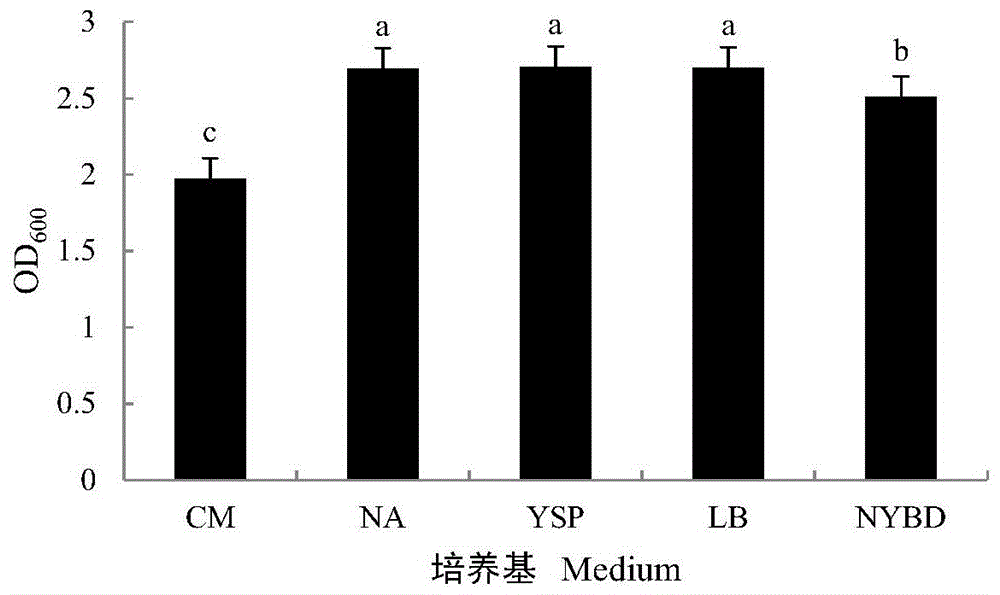 一种铜绿假单胞菌及其应用