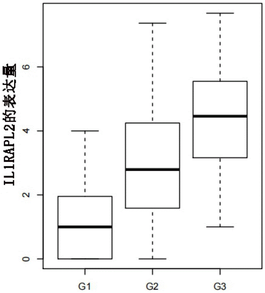 生物标志物在食管鳞癌分化等级评估中的应用的制作方法