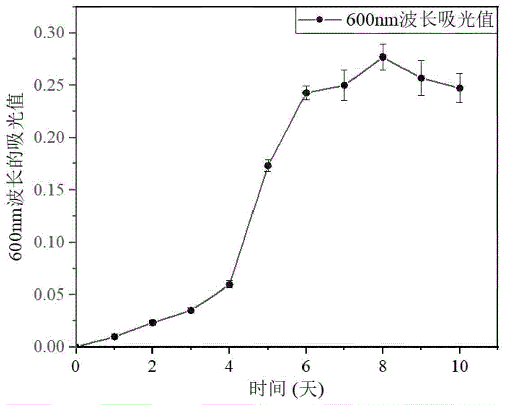 一种厌氧微生物的纯培养方法