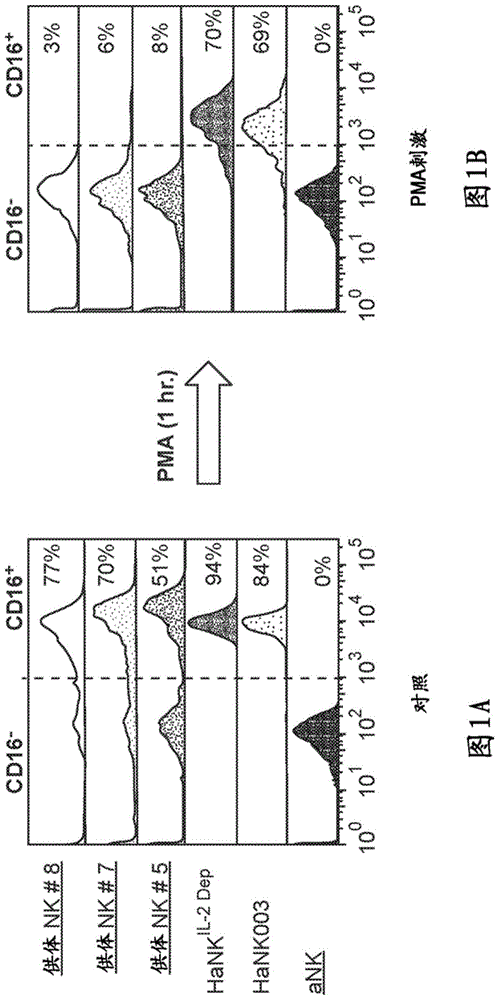 具有稳定的Fc受体表达的IL-2依赖性NK-92细胞的制作方法