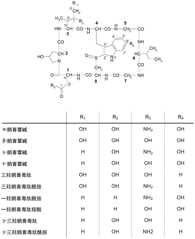 (S)-6-羟基色氨酸及其衍生物的合成的制作方法