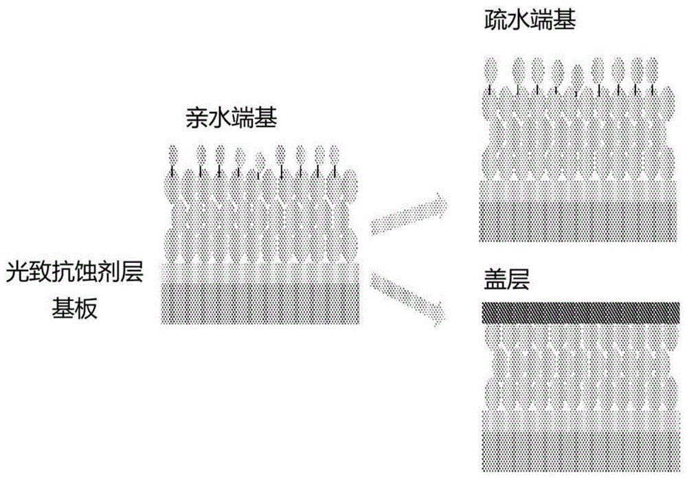 光致抗蚀剂层表面处理、盖层和形成光致抗蚀剂图案的方法与流程