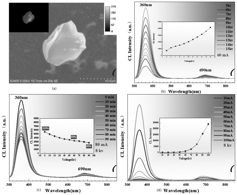 一种高量子产率的白磷钙石型矿物荧光粉及应用
