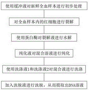 一种全血DNA提取试剂盒及提取方法与流程