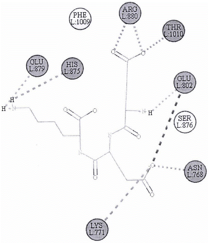 一种黄嘌呤氧化酶抑制肽及其应用