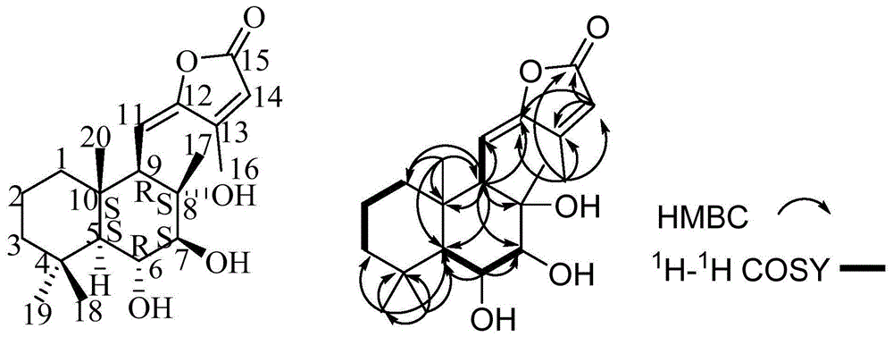 一种半日花烷型二萜类化合物、制备方法及应用与流程