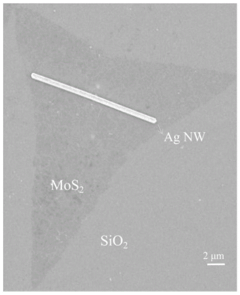 二硫化钼增强银纳米线表面等离子体激元传输长度的基底