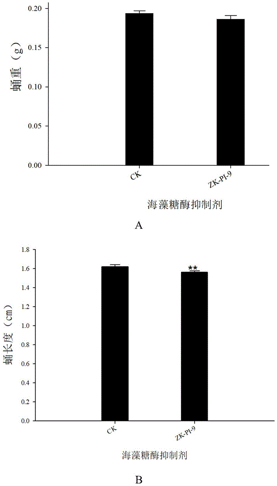 小分子化合物ZK-PI-9在制备海藻糖酶抑制剂中的应用