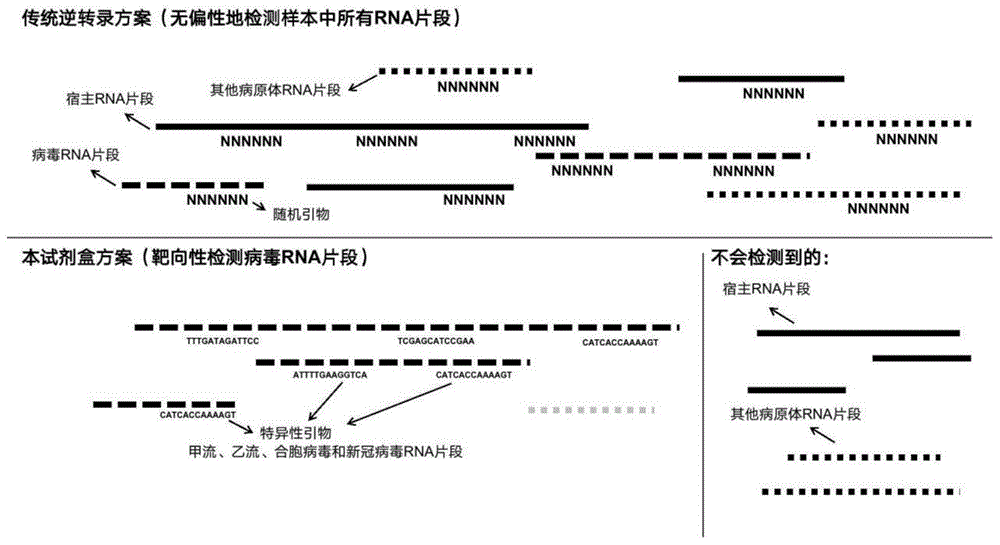 一种检测呼吸道病毒病原体的NGS引物组及试剂盒