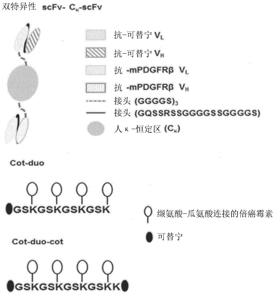 PDGF受体抗体及其用途