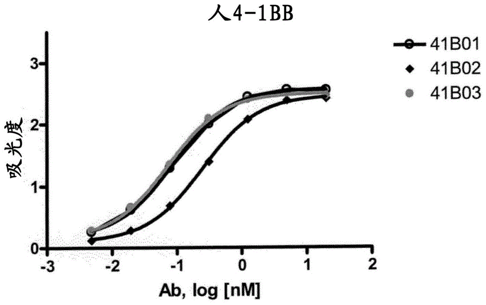 抗4-1BB抗体及其用途的制作方法