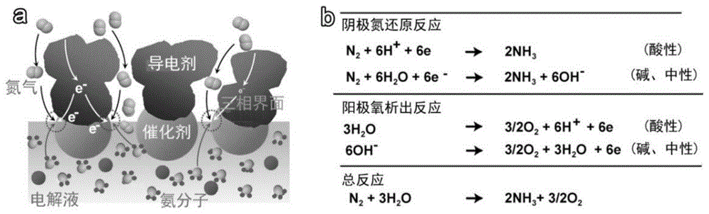 二维高熵氢氧化物阵列催化剂及其电催化固氮合成氨方法