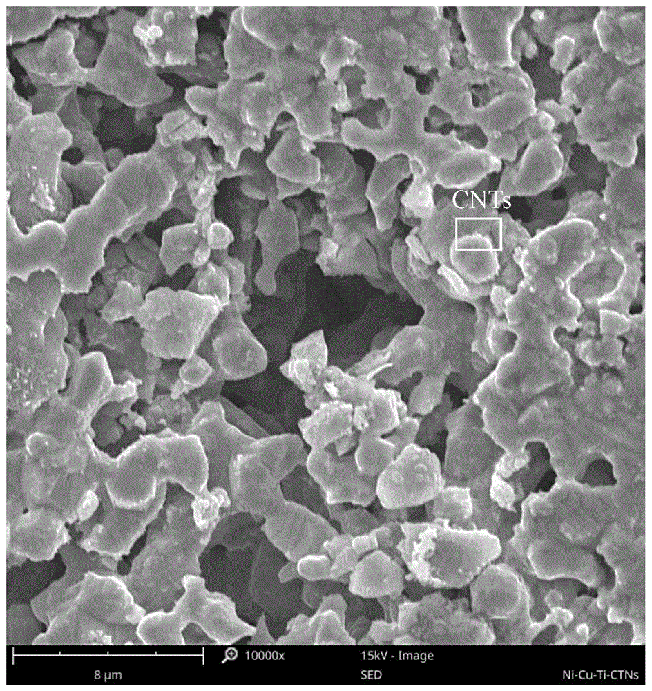 一种Ni-Cu-Ti/CNTs多孔复合材料及其制备方法