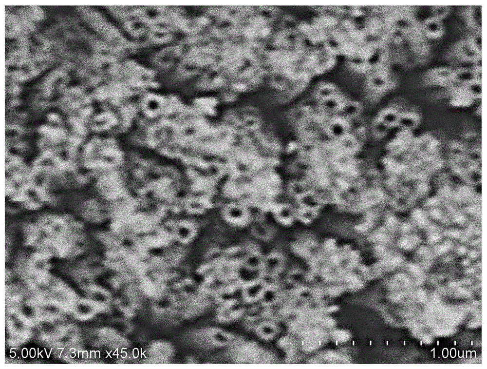 一种多孔TiO2纳米纤维素网络复合膜的原位生长制备方法