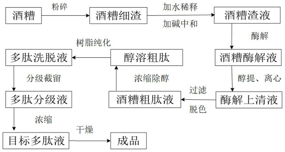 一种酒糟醇溶肽的制备方法及应用