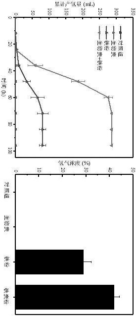 一种酸性环境中的光合生物制氢方法