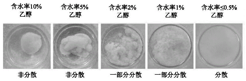 2反应剂型的片状组织粘接加强材料的制作方法