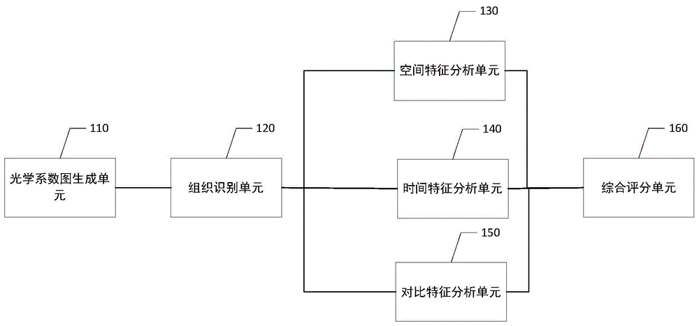 一种动态光学乳腺成像的肿瘤特征分析装置及相关组件的制作方法